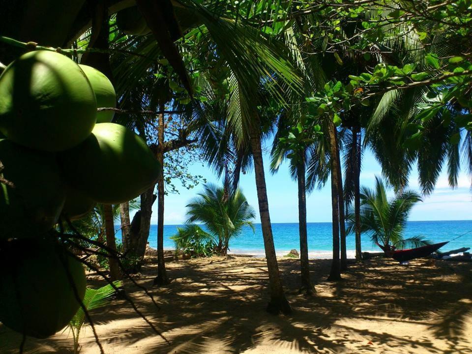Arrecife Punta Uva 호텔 외부 사진
